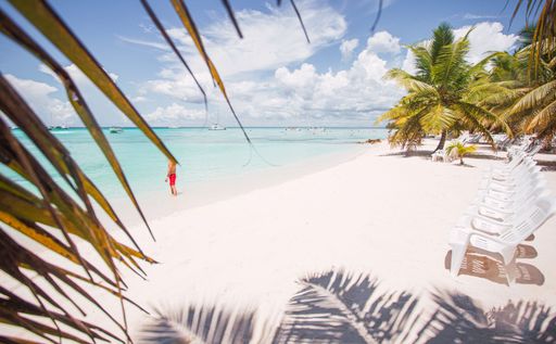 The beauty of Saona Island's beach, framed by palm fronds. Lounge on chairs, swim in crystal-clear turquoise water