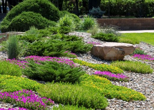 A lush and vibrant garden with an array of assorted plants featuring a central rock