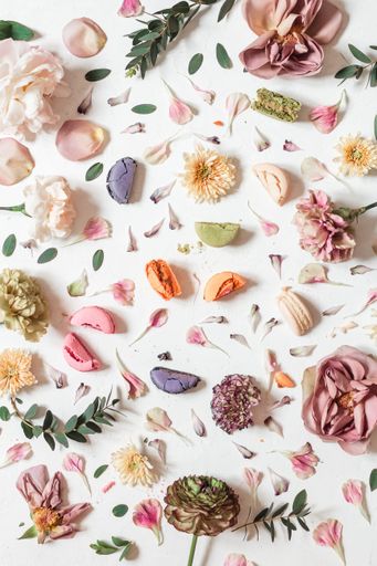 A flat lay composition with multicolored French macaroons and flowers on a white background