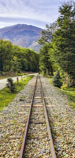 A vertical shot of the railway leads to the forest