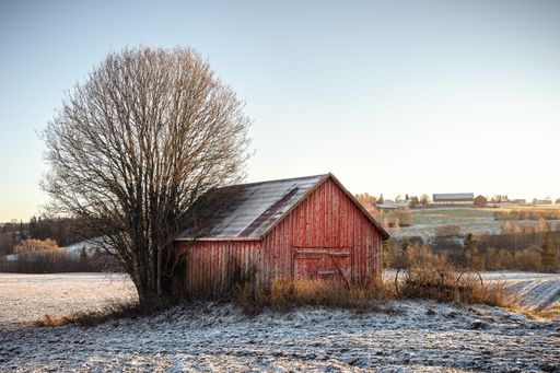 A vibrant red shed stands in the middle of a lush green field, with a bright blue sky in the background
