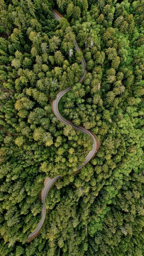 An ariel shot of a curvy narrow road in the middle of the forest surrounded by trees