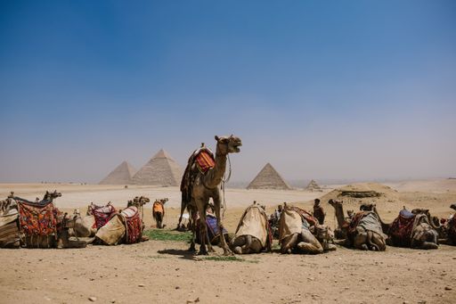 A group of camels and people take a break from their journey amongst the majestic pyramids in the Sahara desert