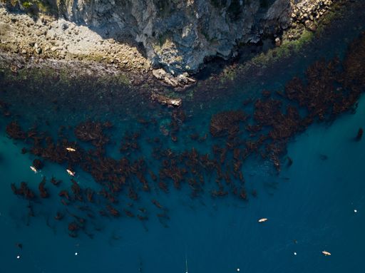 An aerial top view of sea waves crashing against the shoreline at Frog Rock on Catalina Island