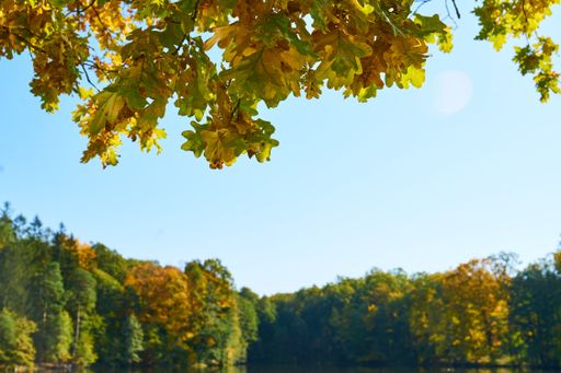 Autumn in Stirin Castle Park near Prague, Czech Republic