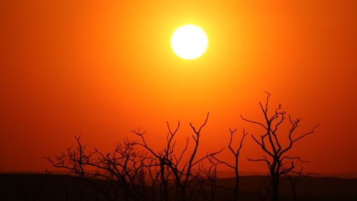 A bright sun in the round shape above the trees with orange sky at Perna, Czech republic