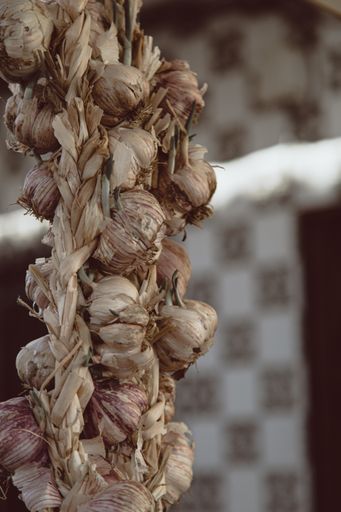 A closeup shot of a braided string of garlic with blurry background
