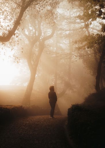 A person is walking in a foggy forest with sun rays shining through