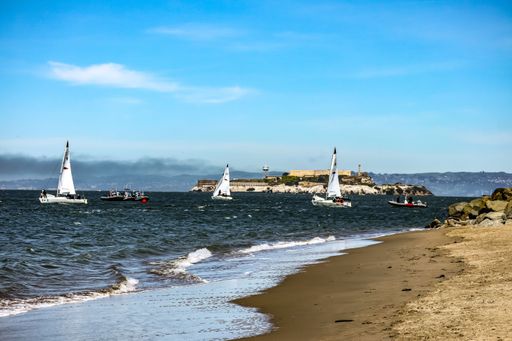 An idyllic scene of a harbor with several boats sailing in the distance in San Francisco Bay