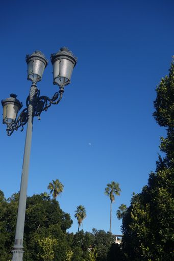 A vertical of moon seen behind street lamps in a green park during daytime