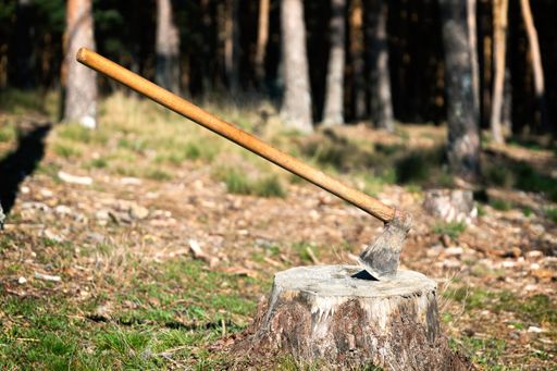 A closeup of an ax stuck in a log in the forest