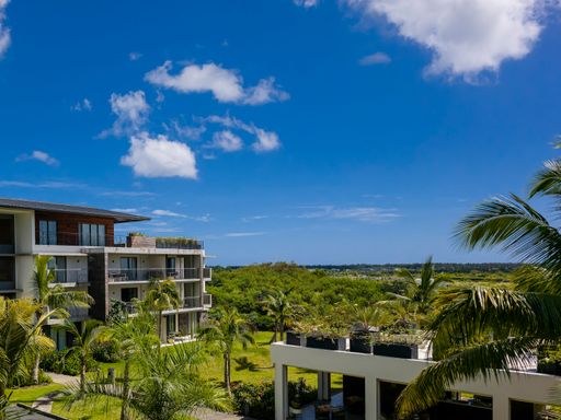 A grand architectural structure featuring an outdoor pool and palm trees in the surrounding area