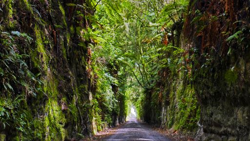 Kakahi glow worm walls, New Zealand