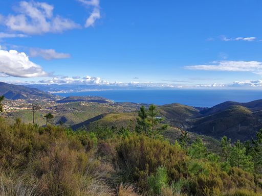A landscape of hills covered in greenery surrounded by the sea under a blue sky and sunlight