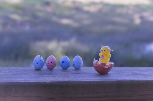 A closeup shot of easter eggs and chicken