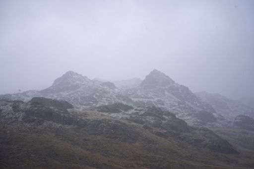 A scenic view of the wilderness and high country of New Zealand on a foggy day