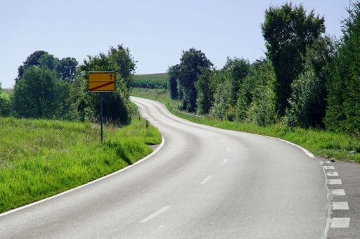 A scenic view of a country road winding through a lush green landscape of grass and trees