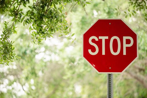 A red octagonal stop sign in the foreground of a lush, green forest