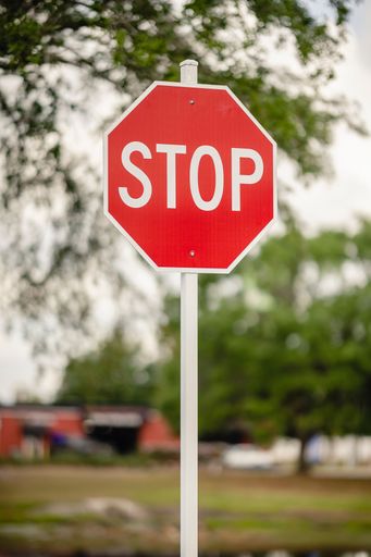 A classic red octagonal stop sign with white lettering sits in the foreground of a picturesque park