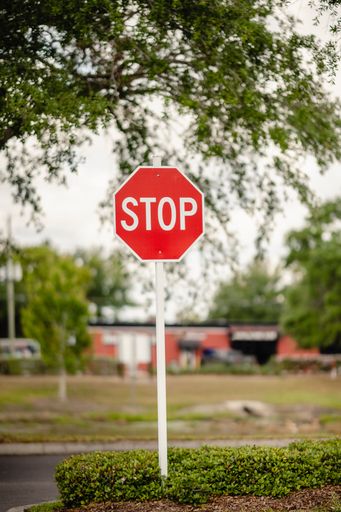 A stop sign at an intersection surrounded by a small, bushy area of shrubs and foliage