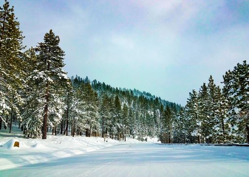 A scenic view of a snow-covered highway winding through a pine forest