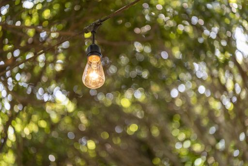 A closeup shot of an illuminated lightbulb hanging in a park