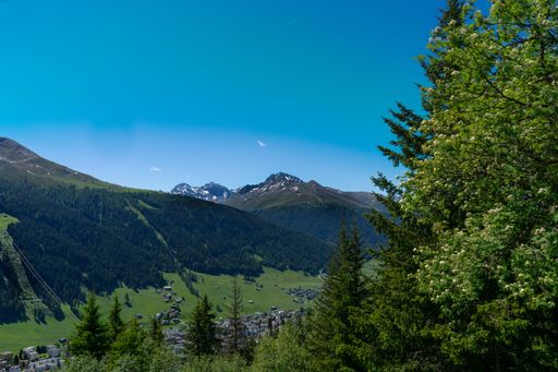 A scenic view of a tranquil lake surrounded by majestic mountain peaks and trees