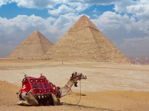 A camel is sitting beneath the backdrop of ancient Egyptian pyramids in the Sahara desert