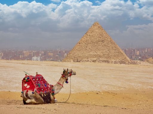 A camel is sitting beneath the backdrop of ancient Egyptian pyramids in the Sahara desert