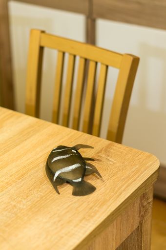 A vertical shot of a fish on the table next to the chair