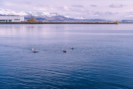 This scenic picture features a pier in the foreground positioned on a tranquil lake, with majestic mountains in the background