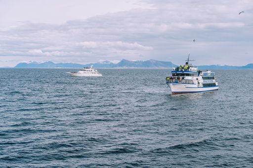 A group of boats sailing on the open ocean, with a small island on the horizon in Reykjavik, Island