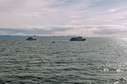 A group of boats sailing on the open ocean, with a small island on the horizon in Reykjavik, Island