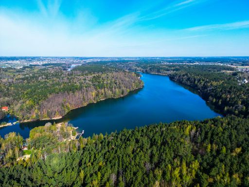 An aerial view of a lake surrounded by a forest on a sunny day