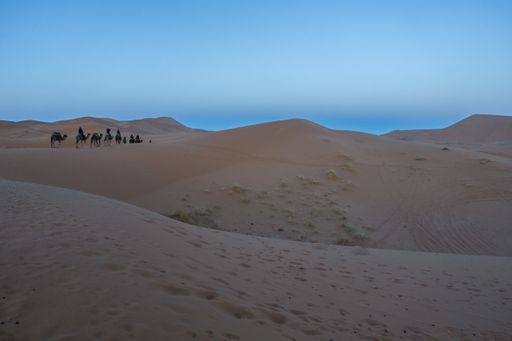People sitting on camels in Sahara desert, Erg Chebbi, Merzouga, Morocco