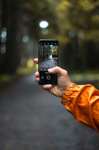 The man's hand holding a phone while taking a photo of the road in the forest.