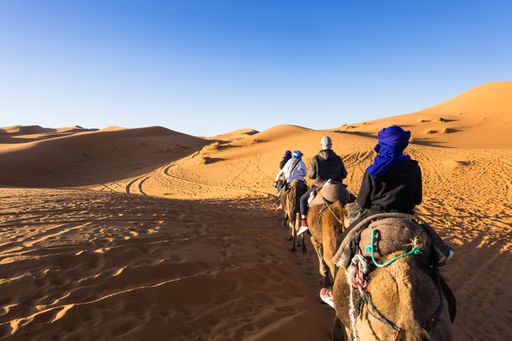 People on camels in the Sahara desert, Erg Chebbi, Merzouga, Morocco