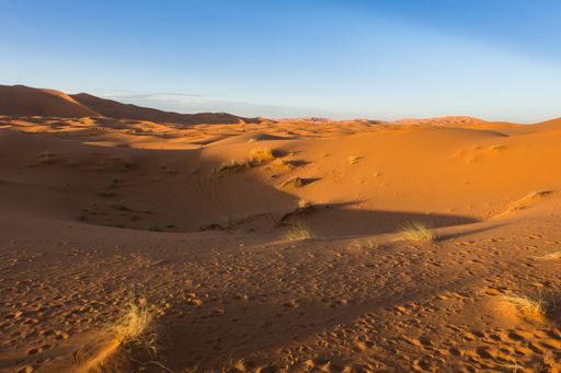 Sahara desert during sunset in Erg Chebbi, Merzouga, Morocco