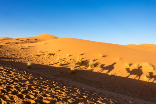 A shadow of people sitting on the camel in Sahara desert, Erg Chebbi, Merzouga, Morocco