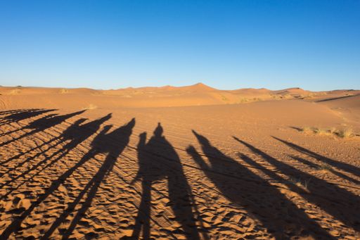 Shadow of people on camels in Sahara desert, Erg Chebbi, Merzouga, Morocco