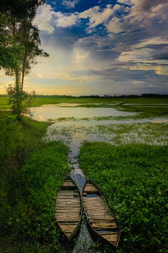Two wooden boats docked on the tranquil shore of a serene lake illuminated in a warm glow of the sunset