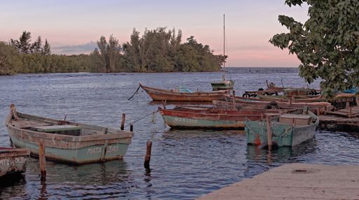 A lot of rusty boats in the lake near a dock during daytime