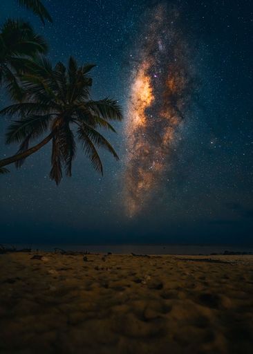 An idyllic beach scene featuring two tall palm trees silhouetted against a tranquil night sky illuminated by a soft, milky glow
