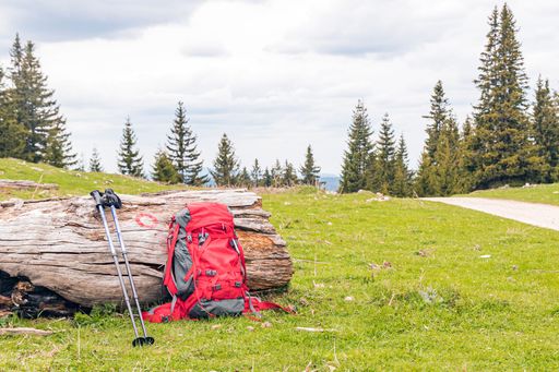 A black hiking backpack with two brown walking sticks resting against a backdrop of lush green grass in a field