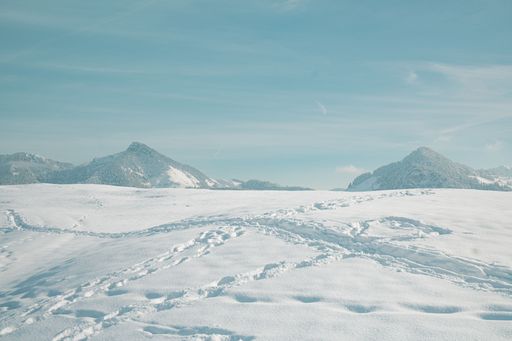 An idealistic winter scene featuring a small hillside covered in evergreen trees blanketed in a layer of glimmering snow