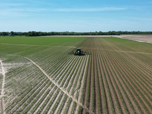 A closeup of a professional mechanism Preparing rows for cotton planting