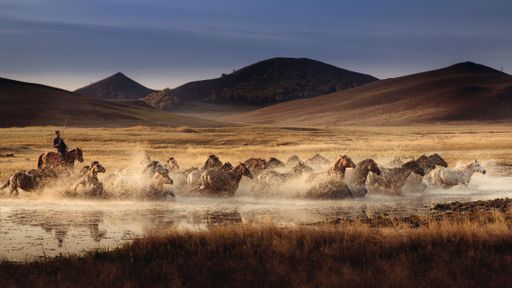 A herd of horses running through a river valley in mountains