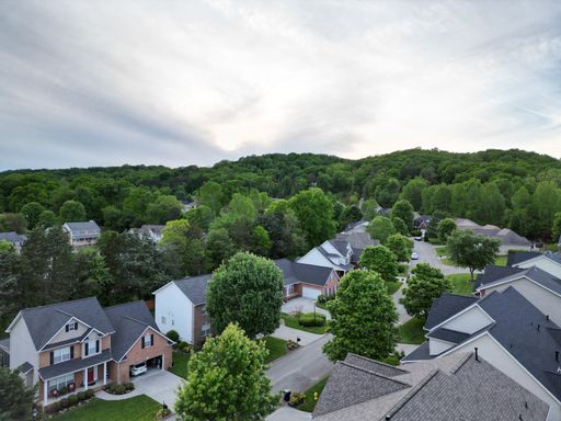 An aerial view of a residential area with a variety of colorful homes and lush foliage