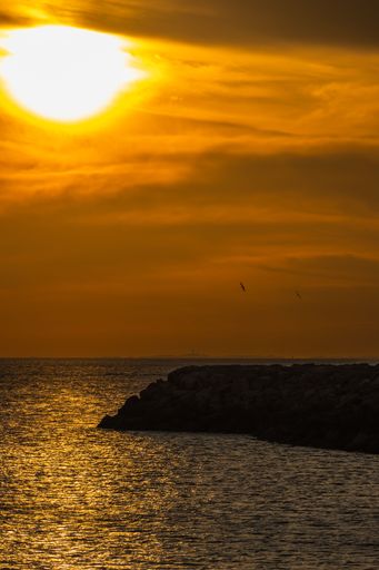 A picturesque sunset over a tranquil sea with various birds flying in the distance