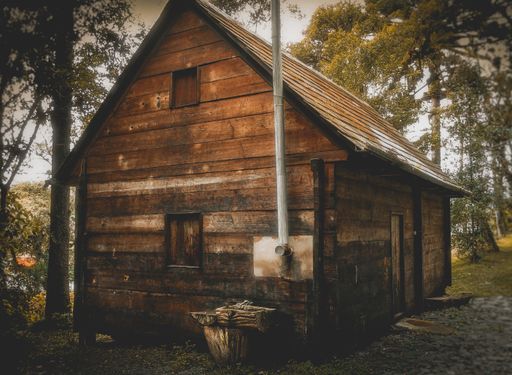 A small wooden house in the forest during daytime